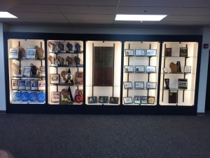 Finished and Full Trophy Case (2)