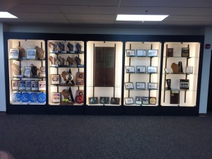 Finished and Full Trophy Case (2)